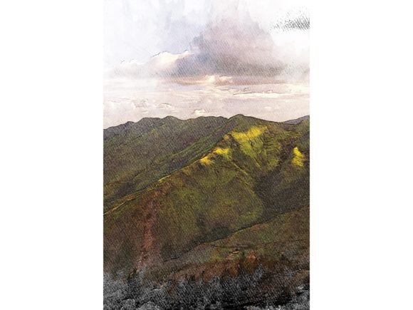 Venezuela Tropical Color Sketch: Vibrant Design for Creative Projects