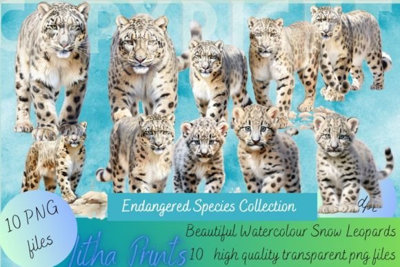 Watercolour Snow Leopards: A Stunning Design Asset for Your Projects